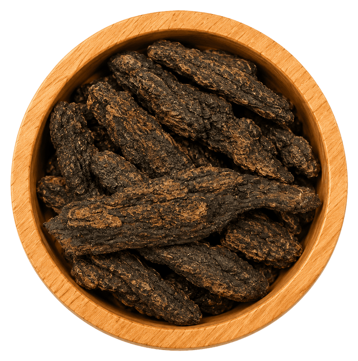 قسط عود